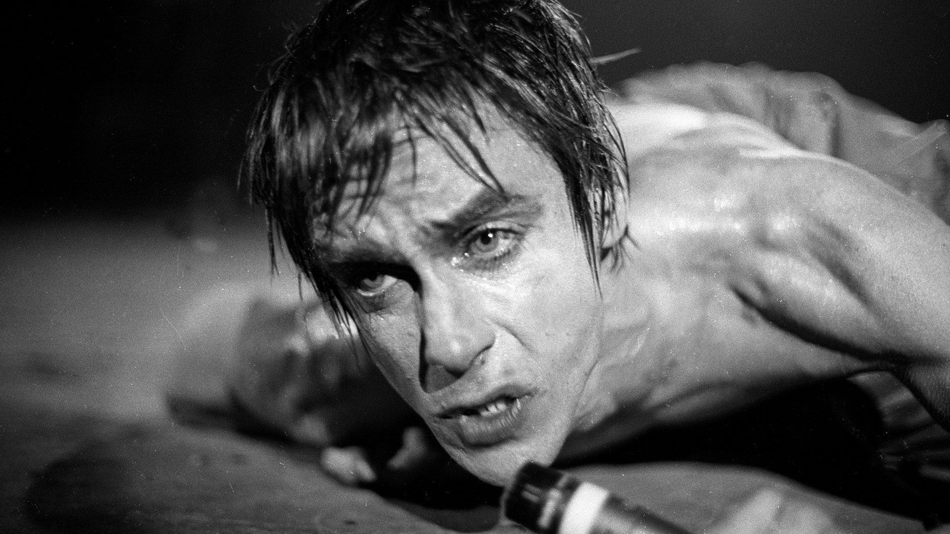 Iggy Pop - The Passenger