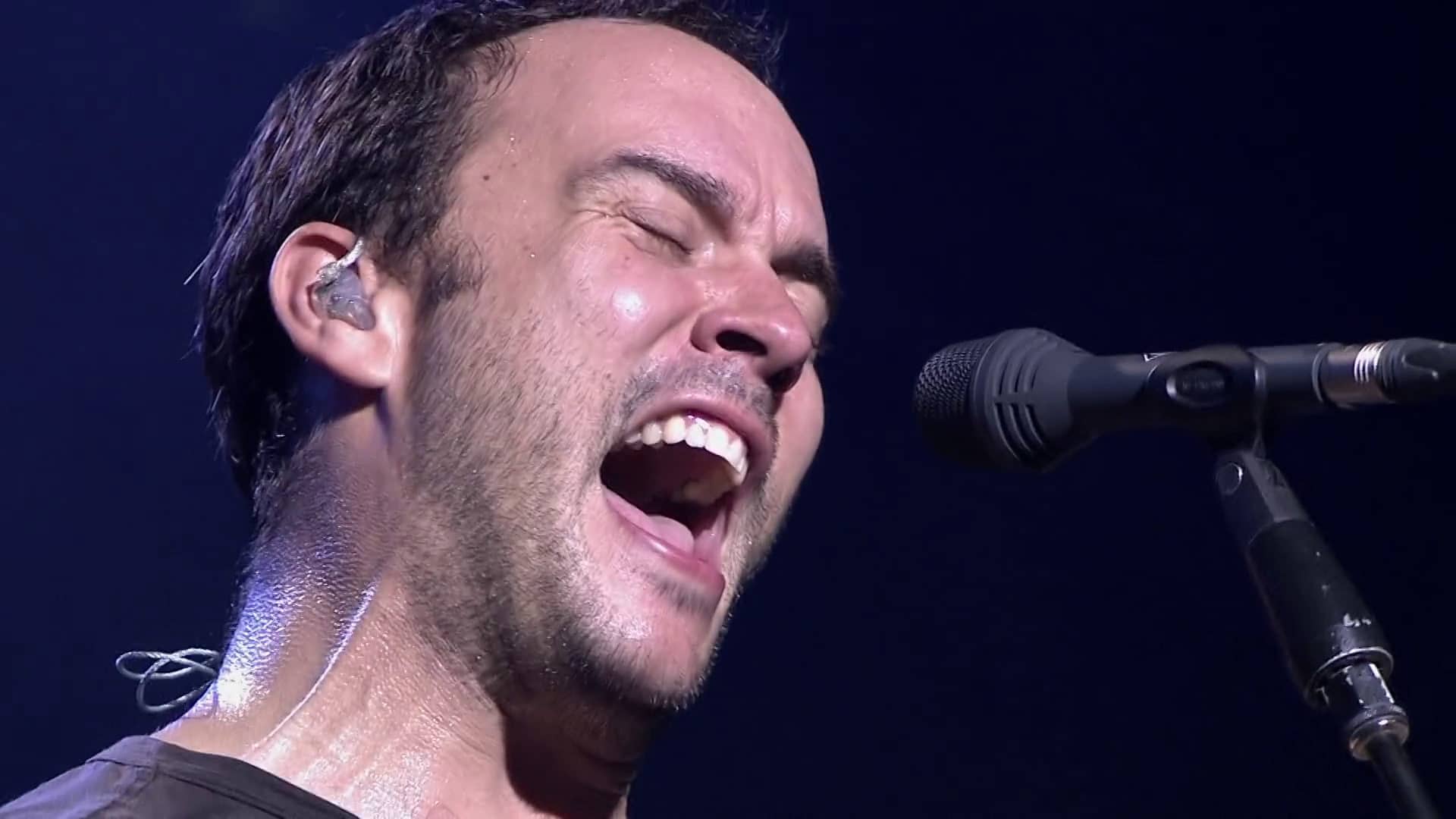 Dave Matthews Band - #41