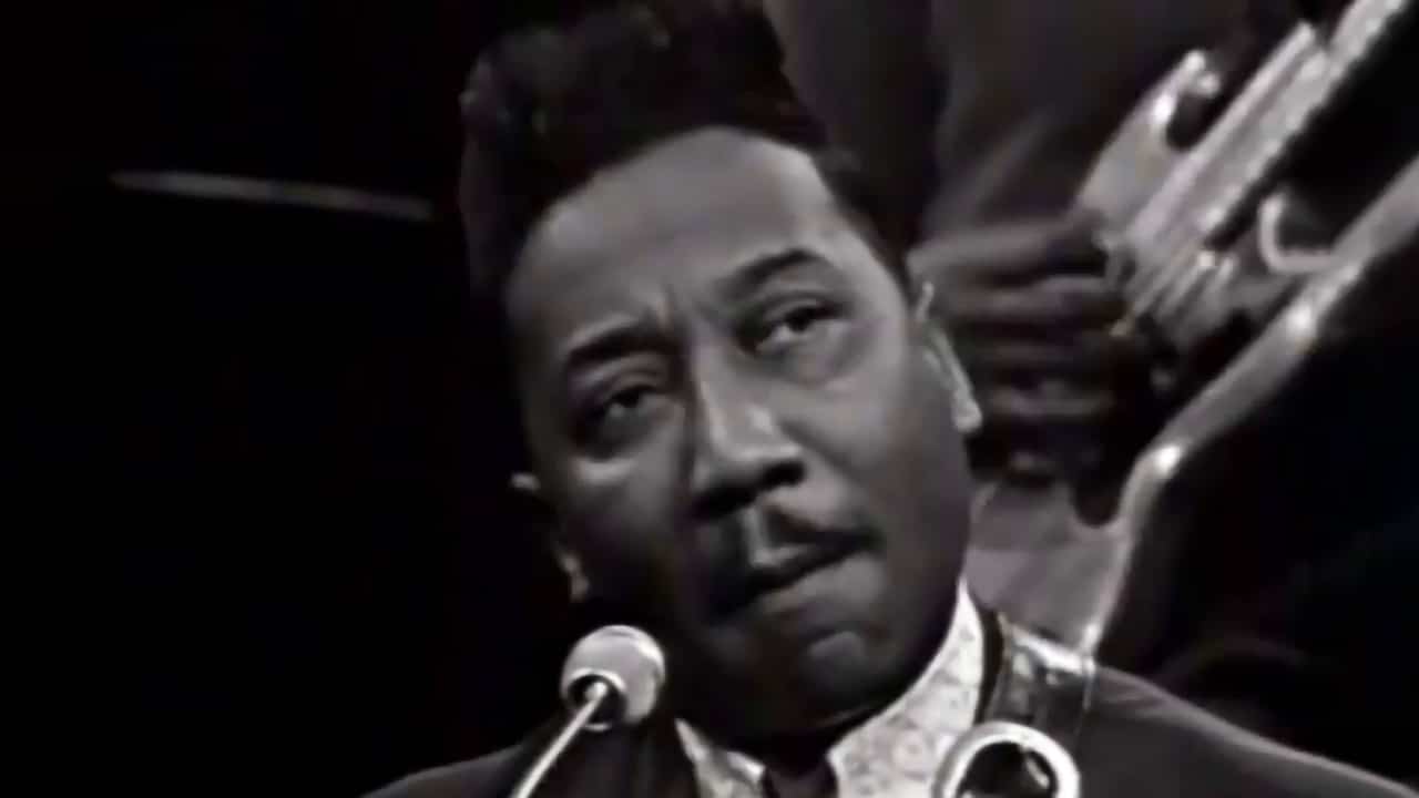 Muddy Waters - Got My Mojo Working