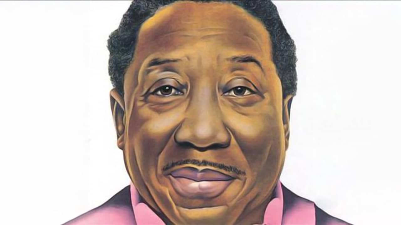 Muddy Waters - I&apos;m Ready